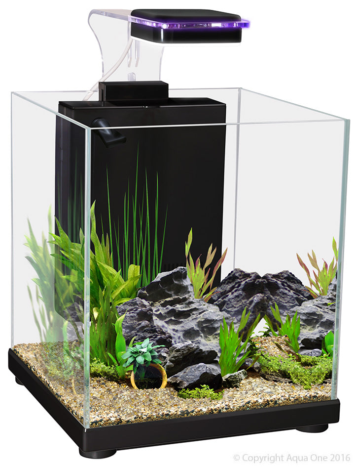 Betta Sanctuary Glass Aquarium 10L