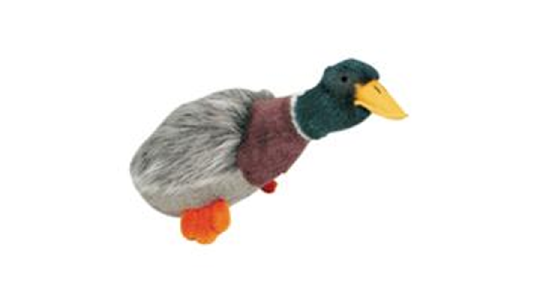 Migrators Mallard