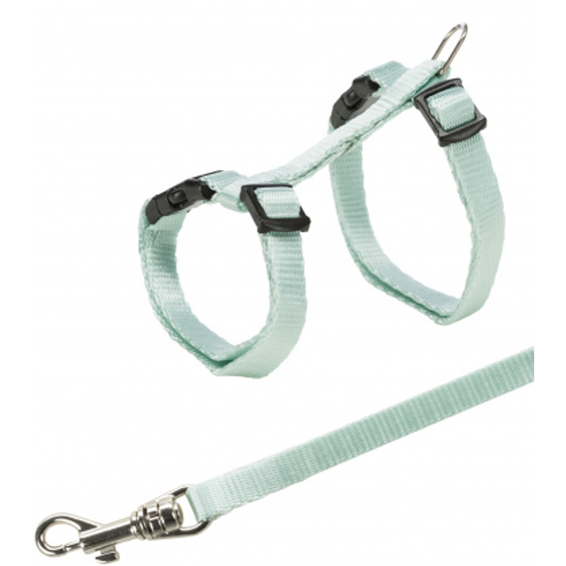 Kitten Harness & Lead