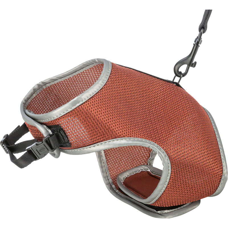 Soft Harness For Cats