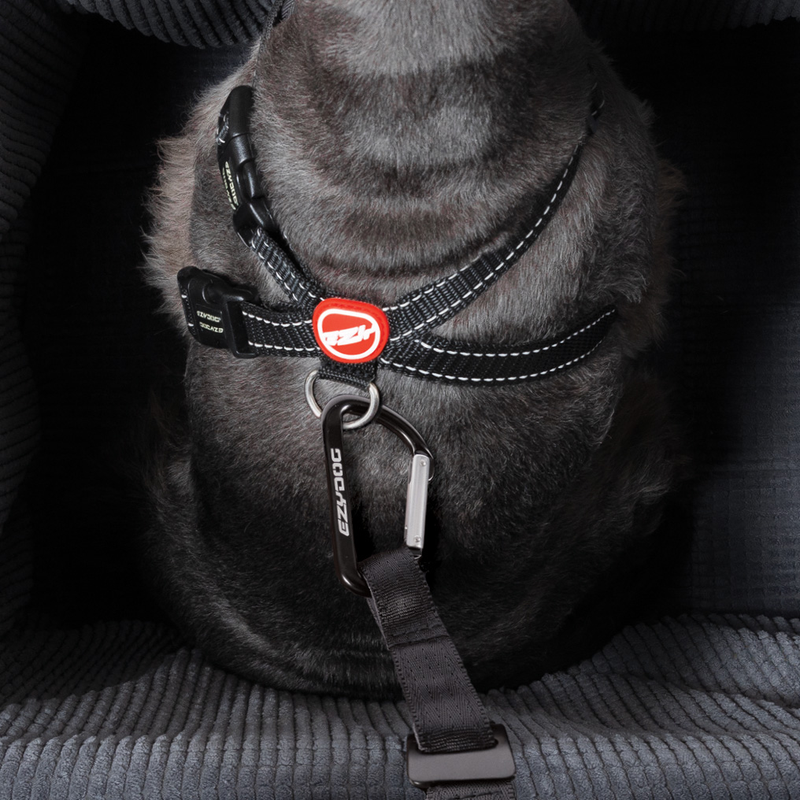 Ed Drive Booster Seat Charcoal