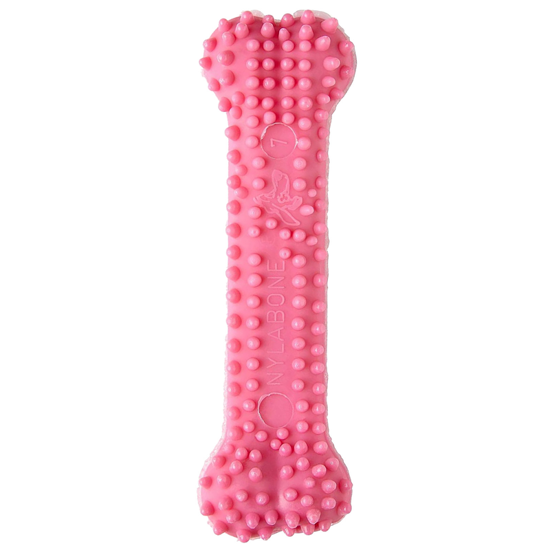 Nylabone Puppy Dental Chew