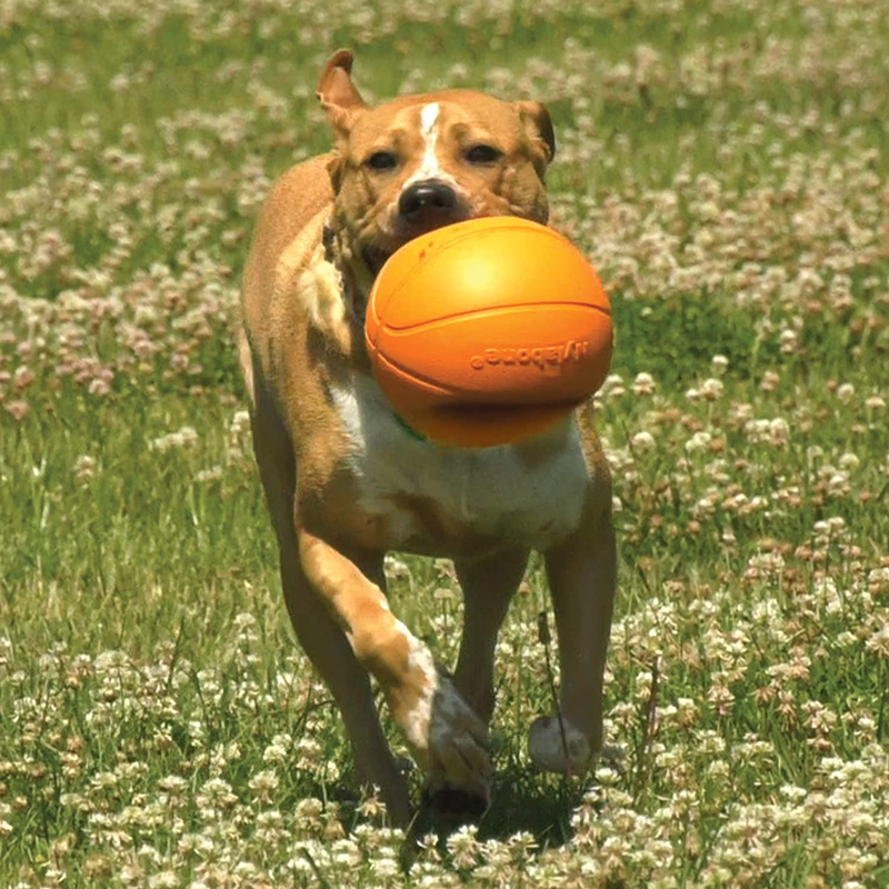Nylabone Basketball Gripz