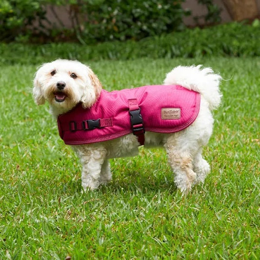 Kazoo Adventure Coat - Cherry