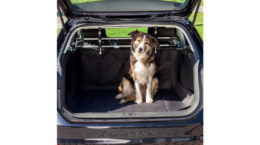 Car Boot Cover