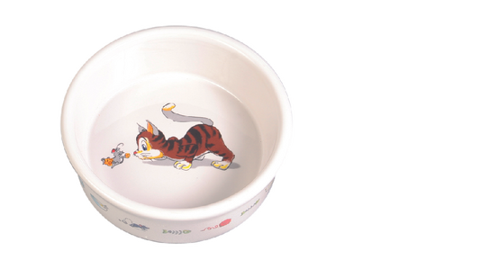 Cat Dish - Comic Cat