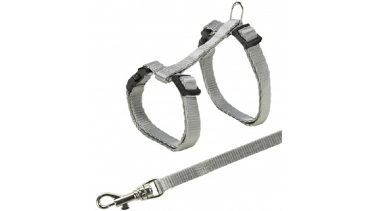 Kitten Harness & Lead