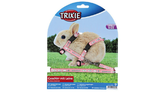 Baby Rabbit Harness