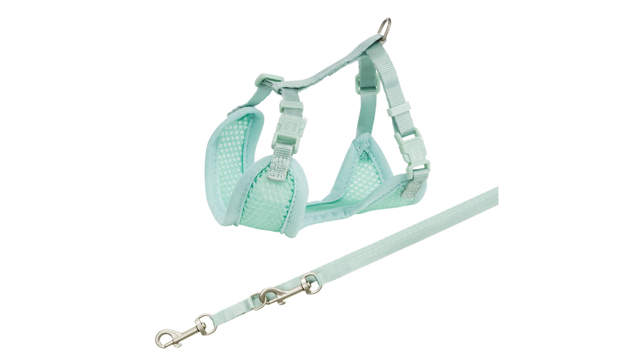 Junior Puppy Soft Harness With Leash Mint [colour:mint]