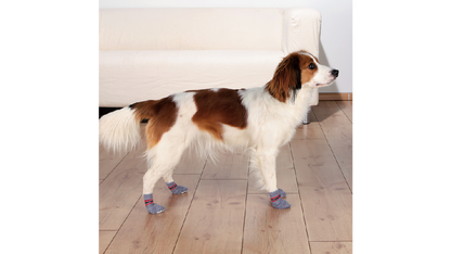 Dog Socks Non-slip