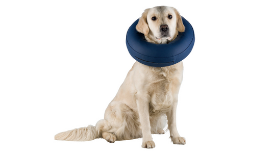 Protective Collar Inflatable L-xl [size:l-xl]