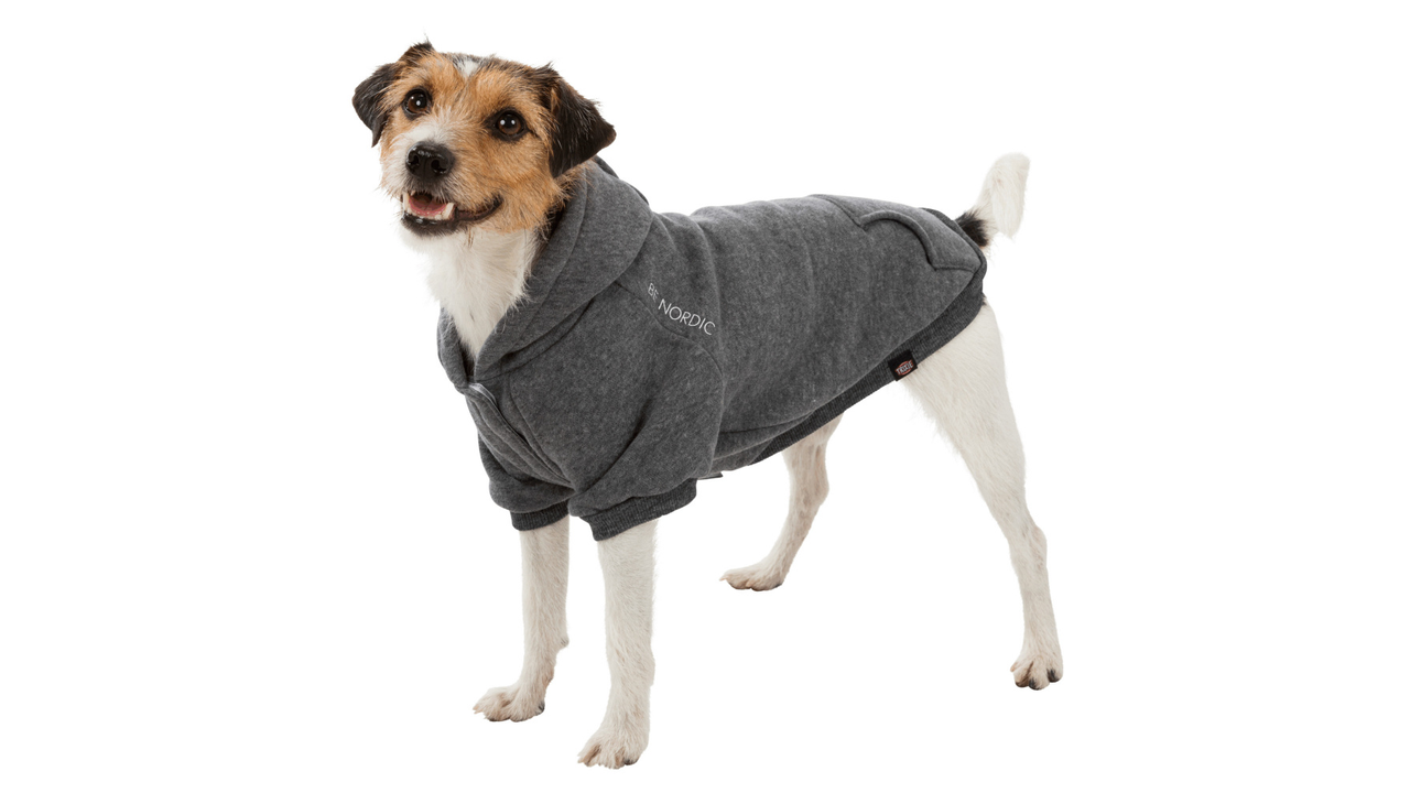 Trixie Be Nordic Hoodie [size:50cm Colour:grey]