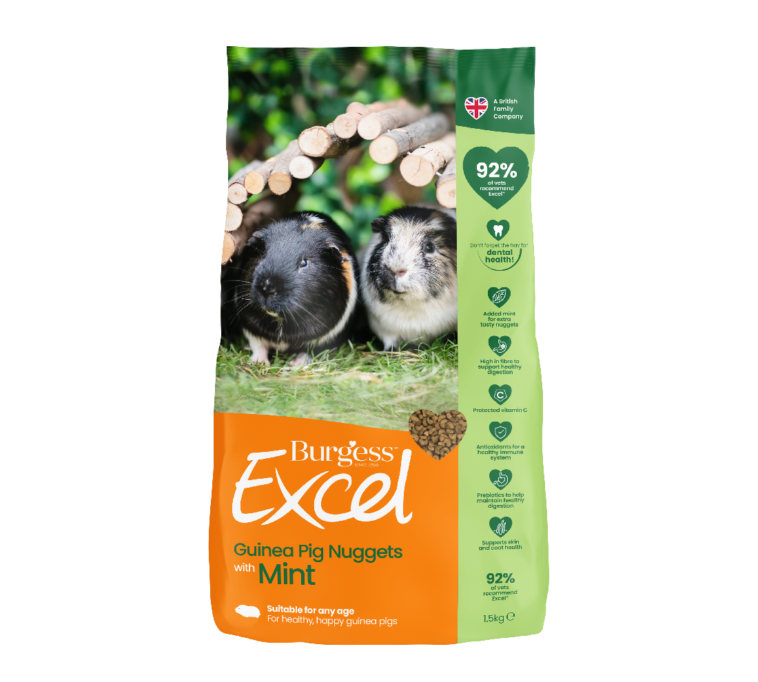 Burgess Excel Adult Guinea Pig Nuggets With Mint 10kg [size:10kg]