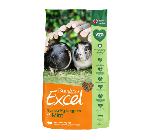Burgess Excel Adult Guinea Pig Nuggets With Mint 10kg [size:10kg]