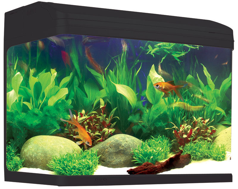 Aqua One AR620 AquaStyle Tank (gloss) 90L