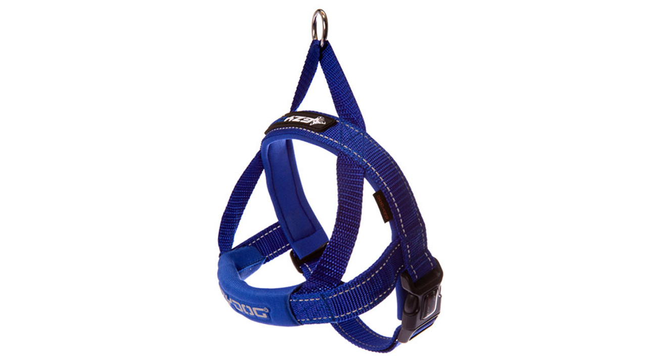 Ed Harness Qf Blue L [size:l  Colour:blue]