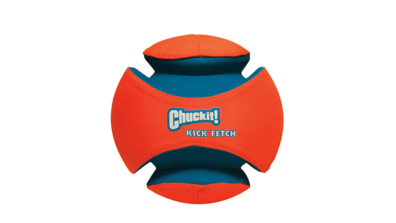 Kick Fetch Ball Lge
