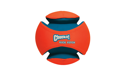 Kick Fetch Ball Lge