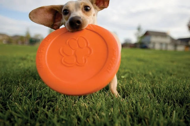 Zogoflex Zisc Tangerine L [size:l  Colour:tangerine]