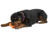 Zogoflex Tux Puzzle Tangerine L [size:l  Colour:tangerine]