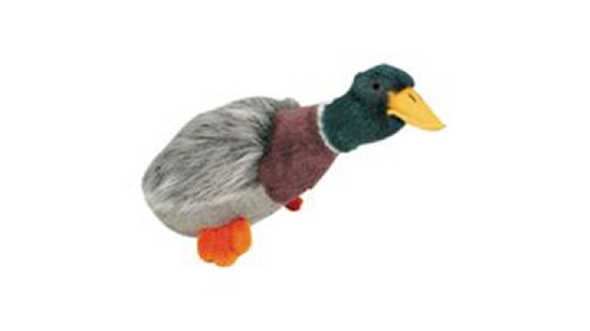 Migrators Mallard