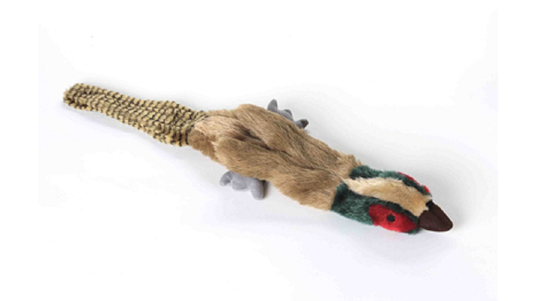 Empty Nesters Pheasant