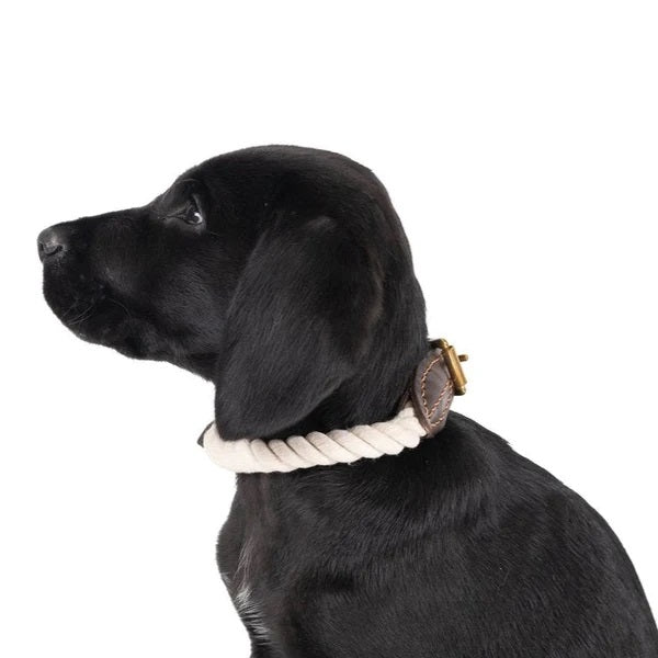 Mog & Bone Rope Collar Genuine Leather & Brass Natural M Brass Natural [size:m  Colour:natural]