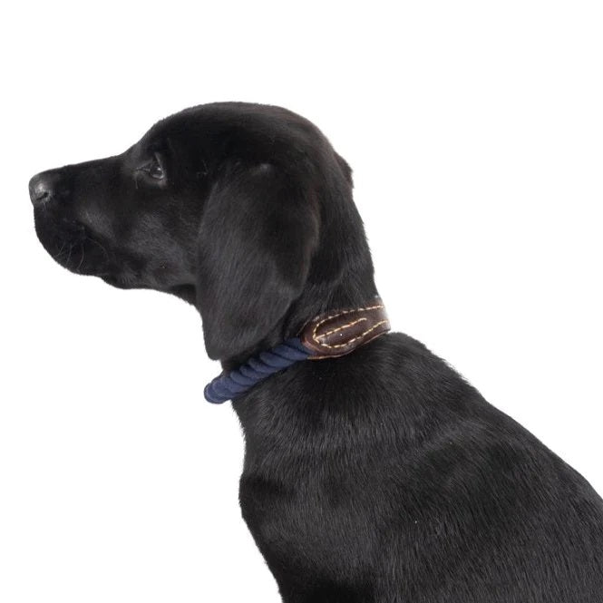 Mog & Bone Rope Collar Genuine Leather & Brass Natural M Brass Navy [size:m  Colour:navy]