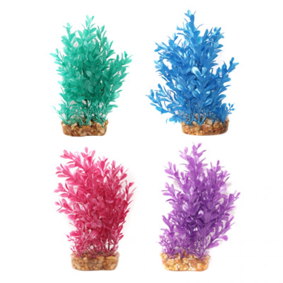 Aqua One Plant Ludwigia 20cm Purple