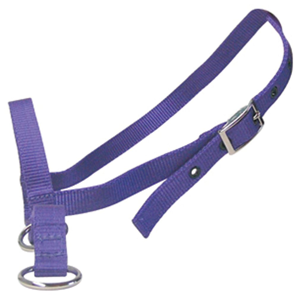 Nylon Calf Leading Halter Black [colour:black]