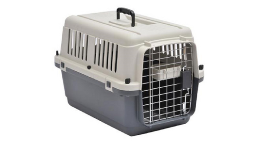 Airline Carrier Xs