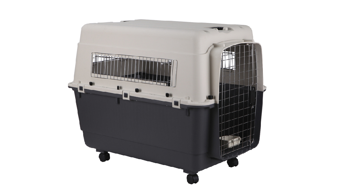 Airline Carrier Xl