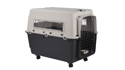 Airline Carrier Xl