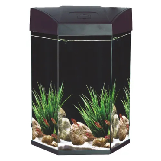 AA Hex Aquarium 70L