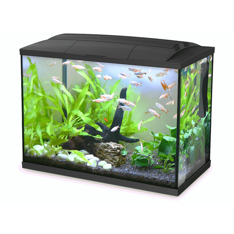 Hailea LED Aquarium 60L