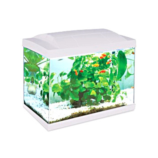 Hailea LED Aquarium 60L