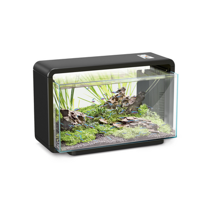 Hailea Aquarium 25L - Black