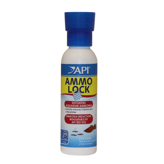 API Ammo Lock