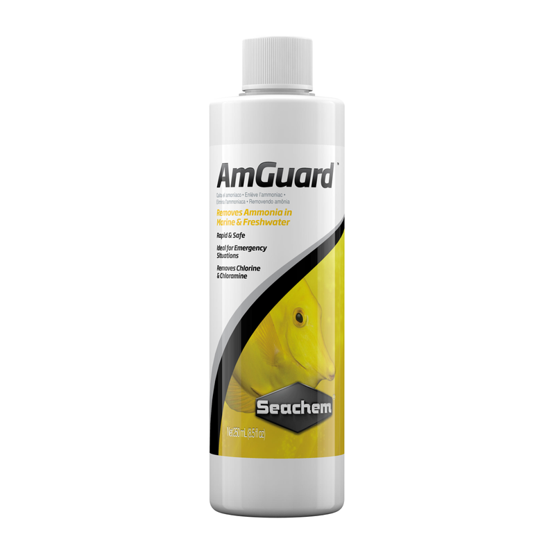 Seachem Amguard