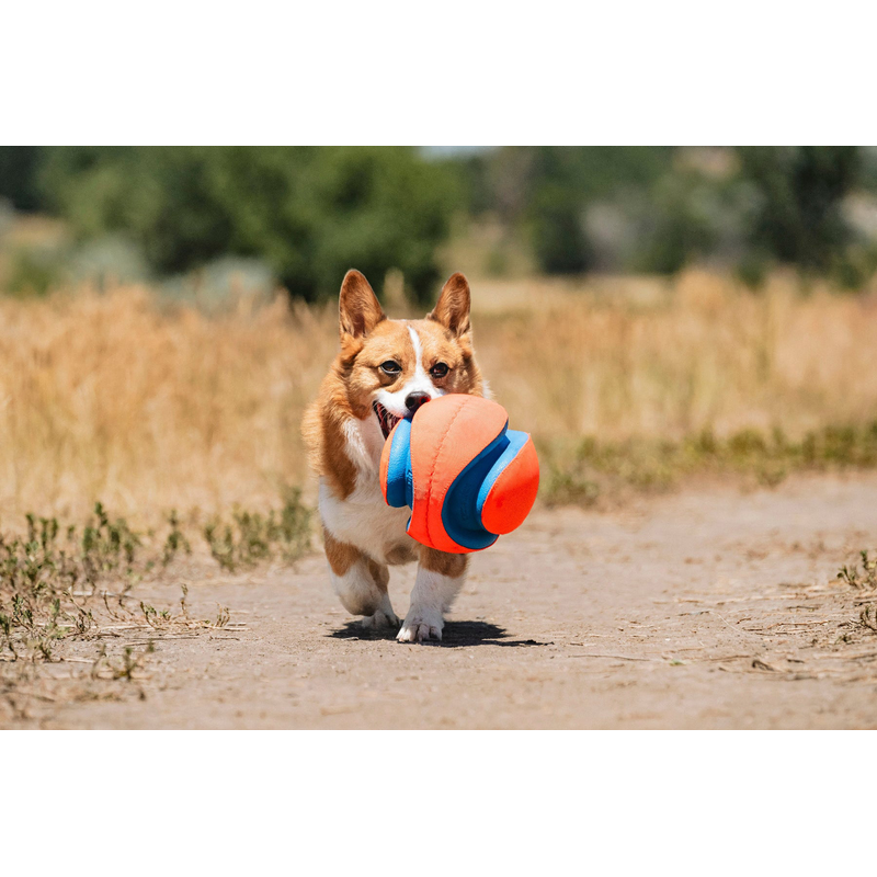 Chuckit Kick Fetch Ball Large