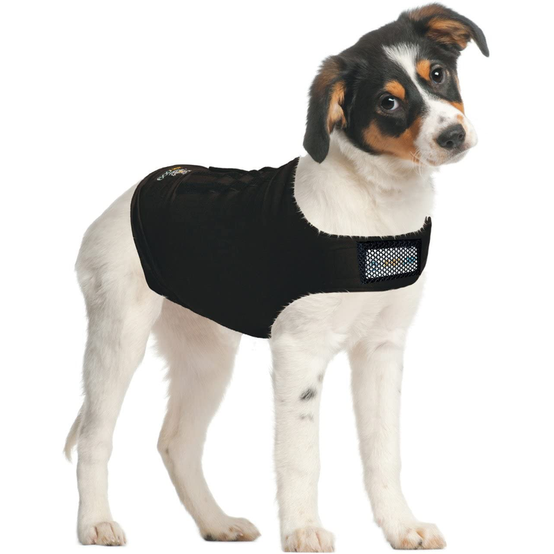 Zendog Compression Shirt XS