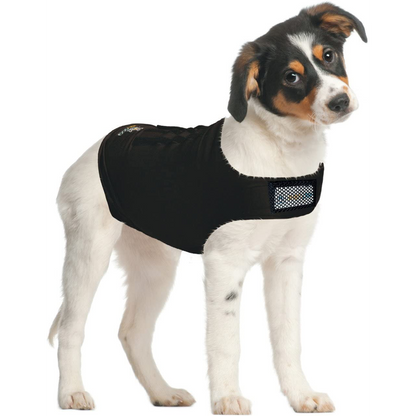 Zendog Compression Shirt XS