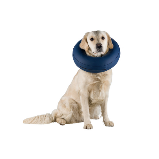 Protective Collar Inflatable