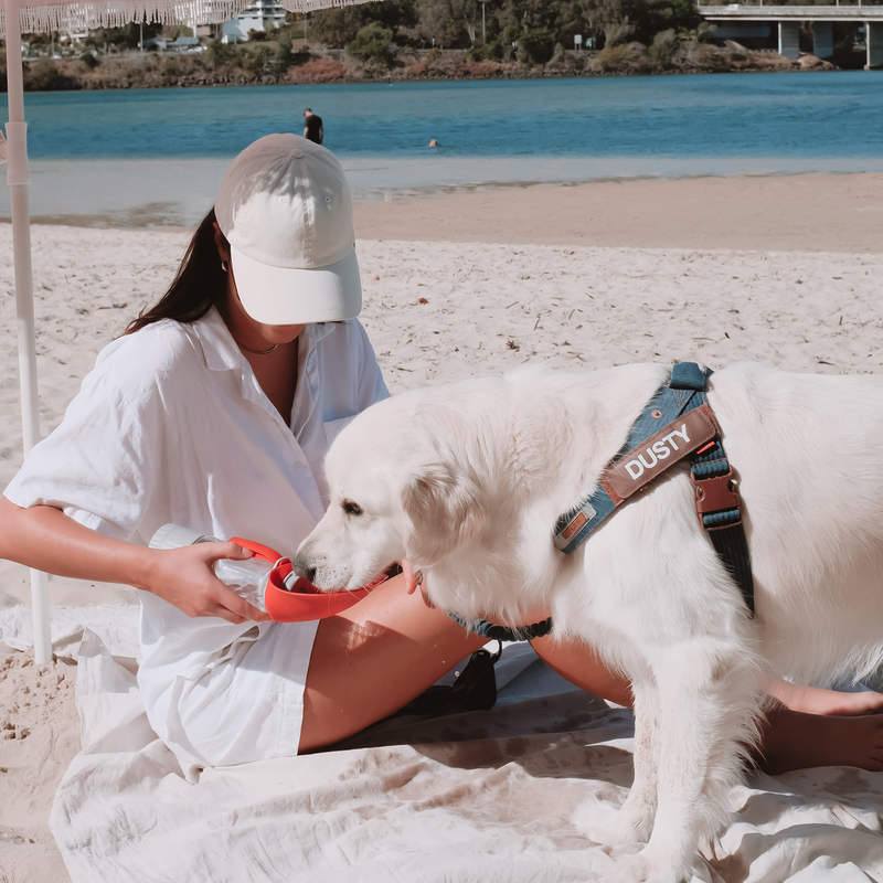 ED Leaf Bottle Pro 350ml