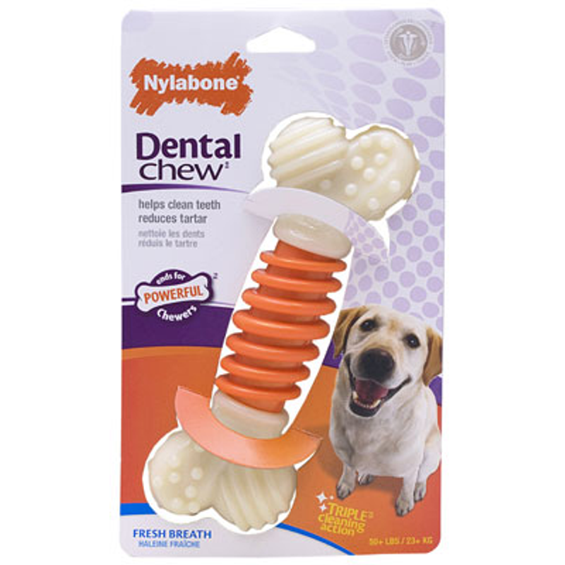 Nylabone Pro Action Bone Dental Chew