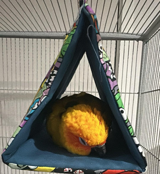 Hand Raised Sun Conures