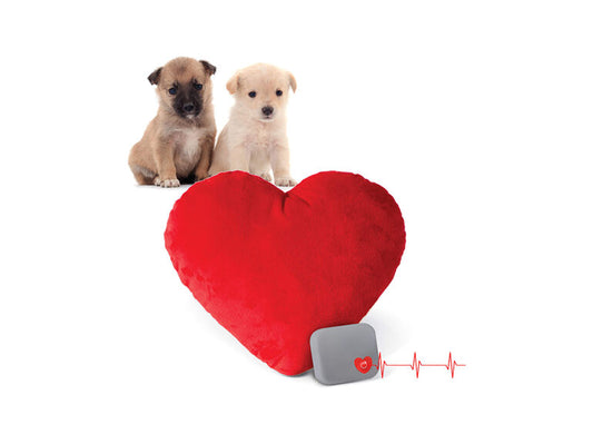 K & H Mother's Heartbeat Kitten Pillow